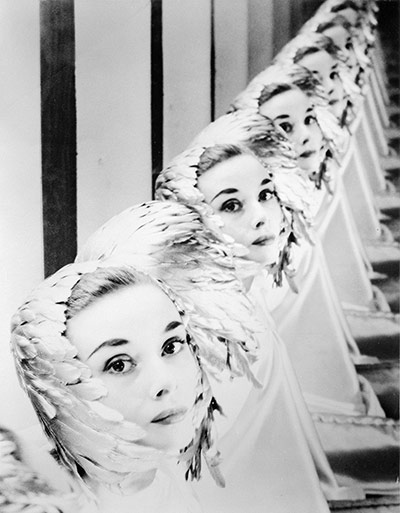 Erwin Blumenfeld: Audrey Hepburn in 1952