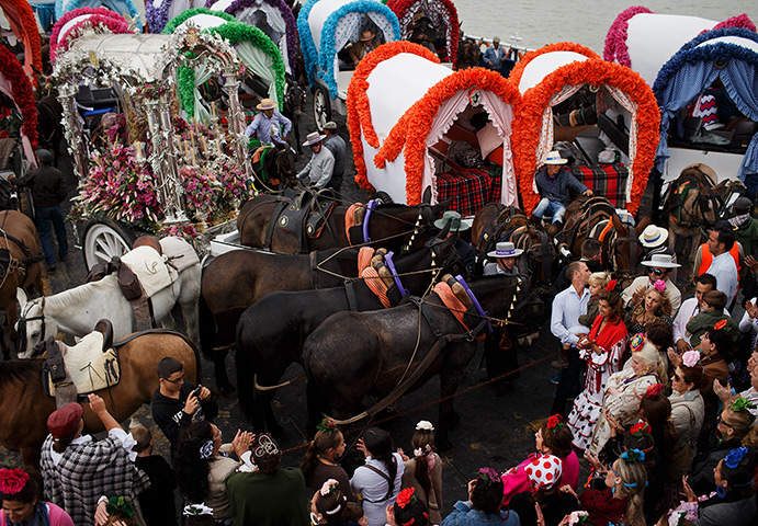 Pilgrims: La Romeria Del Rocio Brings Roughly A Million Pilgrims Together