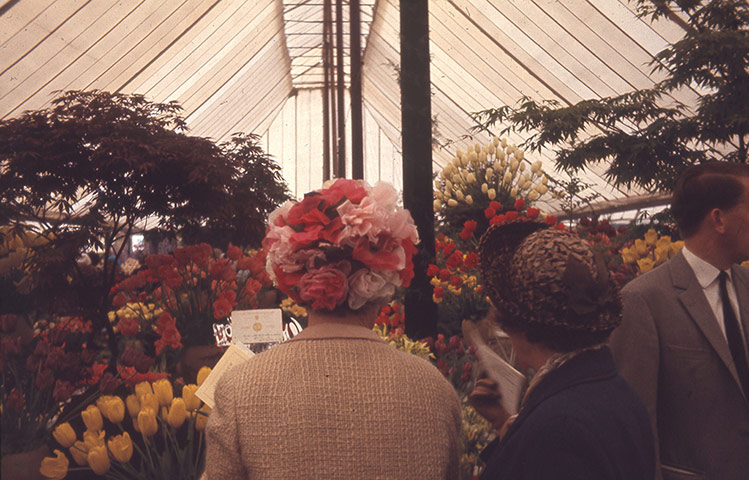 Chelsea Flower centenary : Chelsea Flower Show 1976