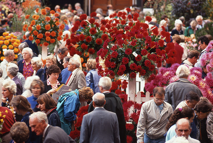 Chelsea Flower centenary : Visitors to the Chelsea Flower Show, 1990s.