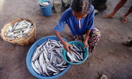 Early morning fish market, Port Barton, Palawan, Philippines