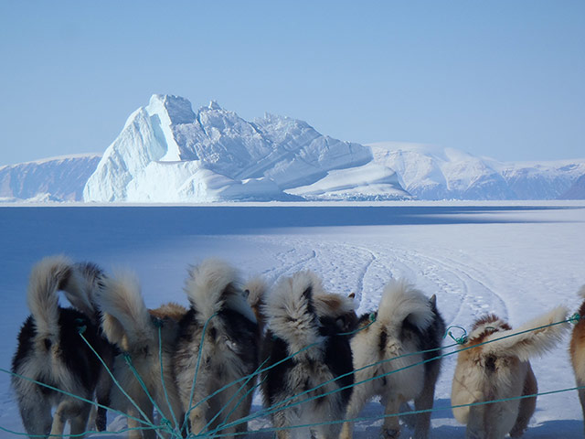 Exhibitionist0405: Mariele Neudecker