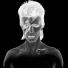 David Bowie by Duffy: Aladdin Sane Negative