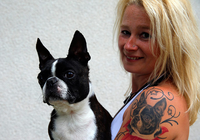 World dog show: World dog show in Budapest 