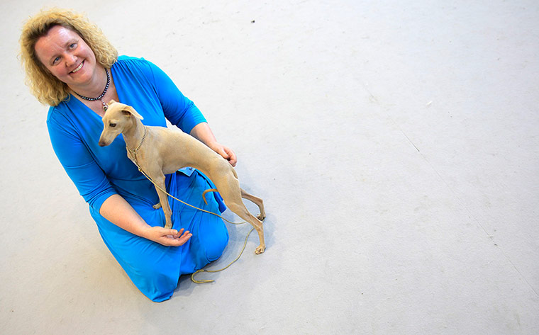 World dog show: World dog show in Budapest 