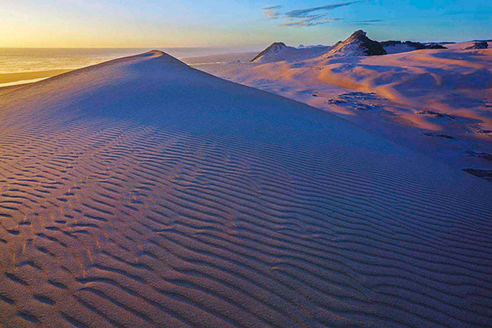 Tarkine region: Dunefield on the Tarkine wilderness coast