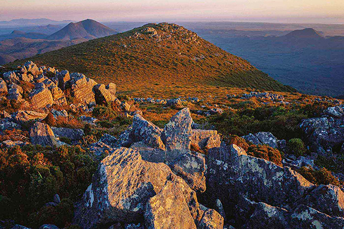 Tarkine region: Norfolk Range wilderness, Tarkine