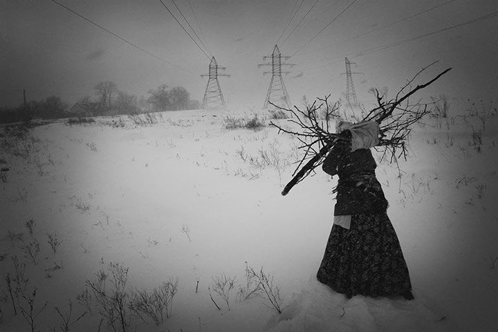 The Syngenta Photography : Award 2013