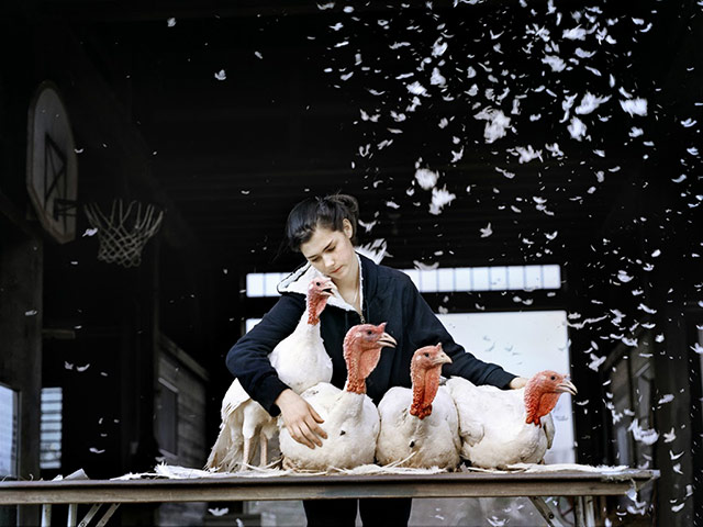 The Syngenta Photography : Award 2013