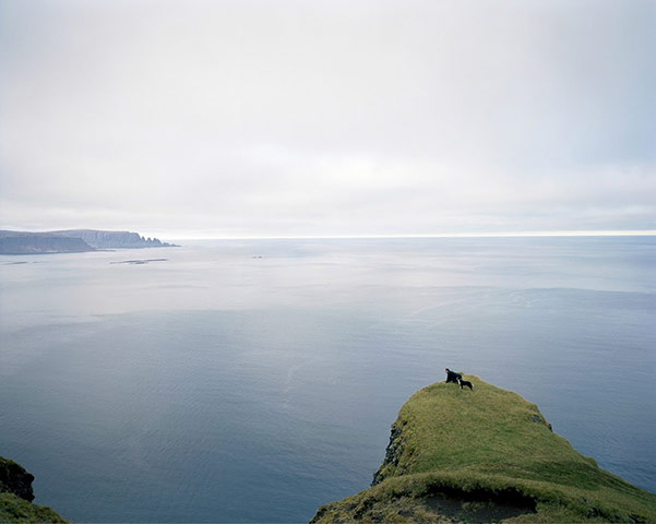 The Syngenta Photography : Award 2013