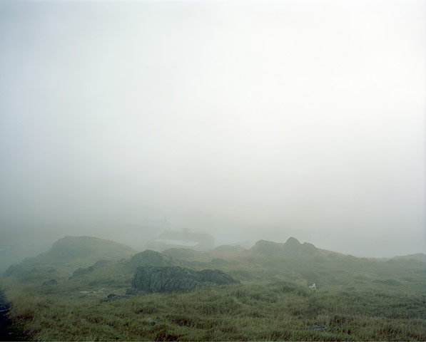 The Syngenta Photography : Award 2013