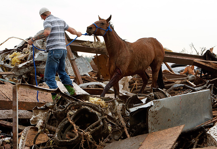 EF-4 update: Rescuers recover a horse from the remains of destroyed barns