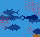 overfish