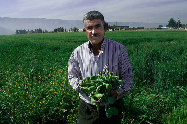 Syria refugees: Musa in a field of veg