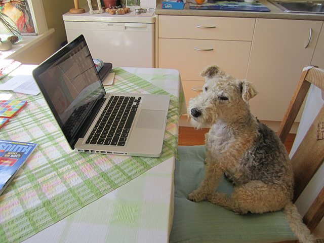 Pets meet technology: dog and macbook