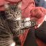 Pets meet technology – your best pictures