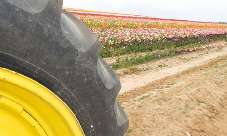 A large tractor wheel along the side of a farming trench. Image shot 2008. Exact date unknown.
