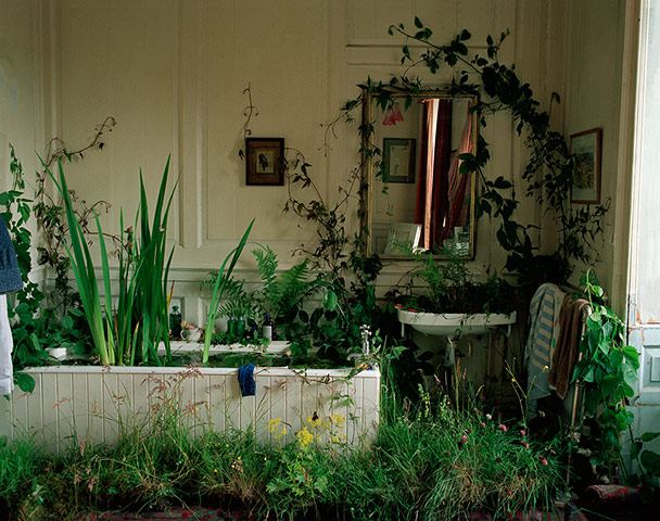 Tim Walker - in pictures: Tim Walker - Inside/Outside 