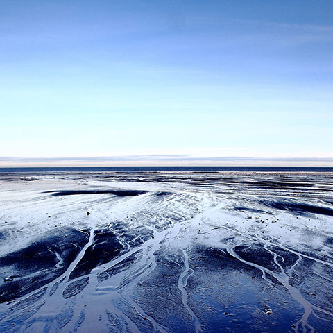 Exhibitionist2505: Free Range