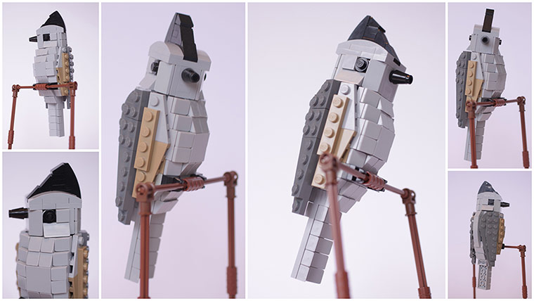 Lego Birds: North America: Benny the Black-Crested Titmouse