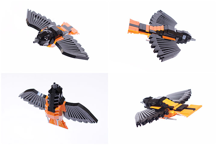 Lego Birds: North America: Buddy the Baltimore Oriole