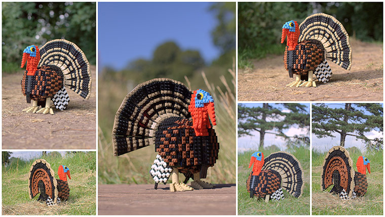 Lego Birds: North America: Tommy the Turkey
