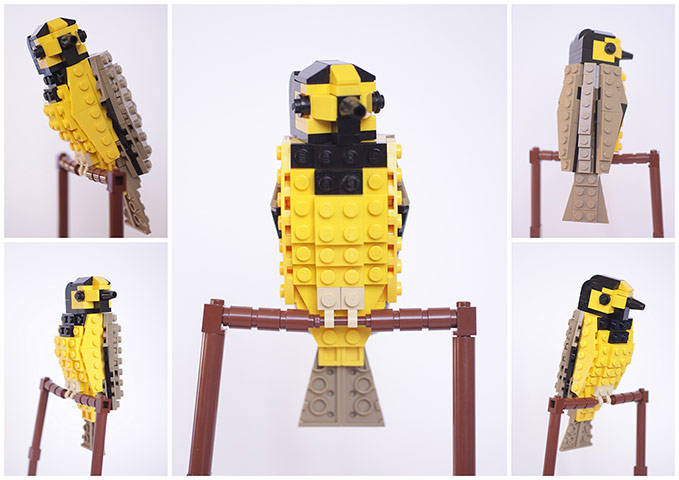 Lego Birds: North America: Hudson the Hooded Warbler