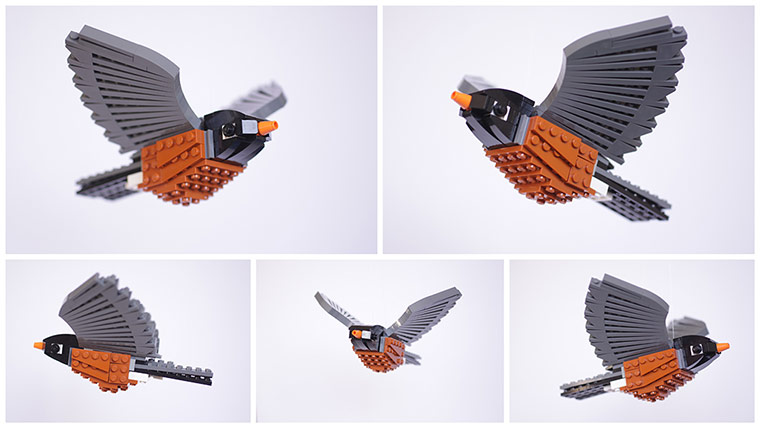 Lego Birds: North America: Arnie the American Robin