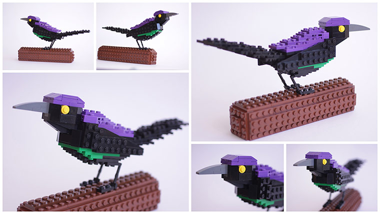 Lego Birds: North America: Gary the Great Tailed Grackle