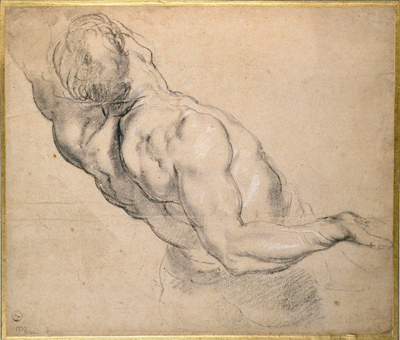 Old master drawings: Peter Paul Rubens (1577-1640), A Nude Man seen partly from behind