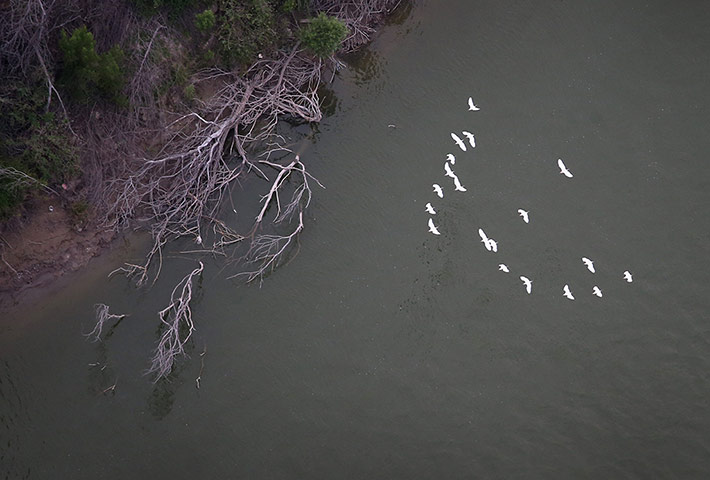 Week in wildlife: Aerial Views Of The U.S.-Mexico Border On The Rio Grande