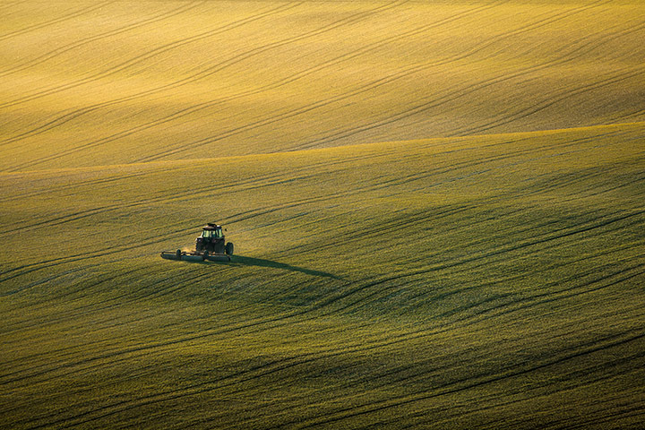 Your Pictures - Sowing: tractor sowing seeds in field