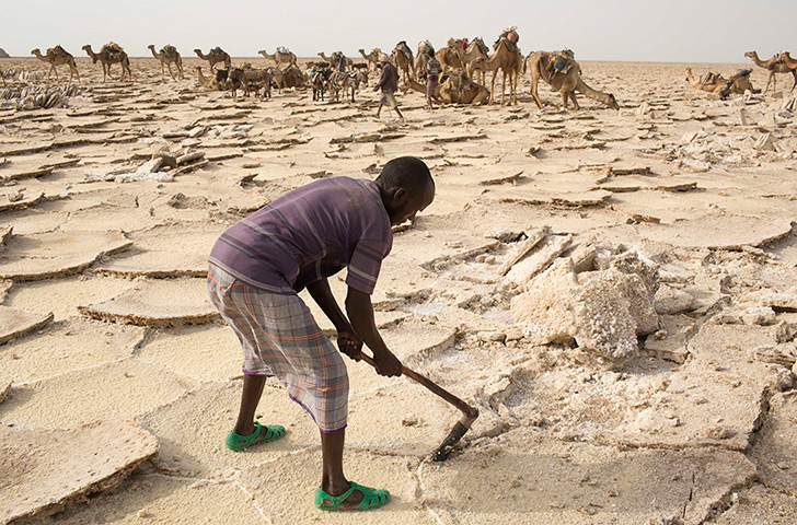 FTA: Siegfried Modola : A worker extracts salt from the desert