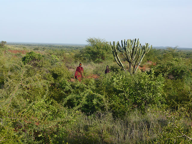 Karamoja's gold rush