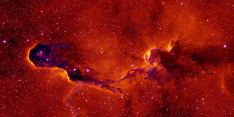 A month in Space: A New View of the Elephant’s Trunk Nebula