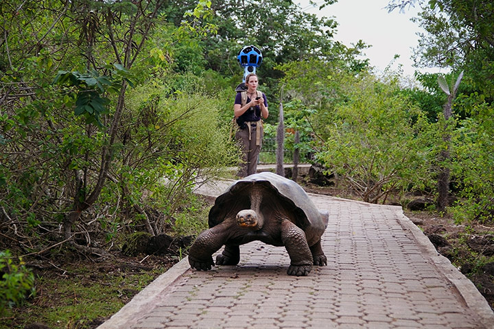 Galapagos island: Catlin Seaview Survey on land