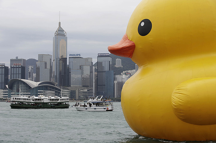 24 hours in pictures: Floating duck sculpture in Victoria Harbour