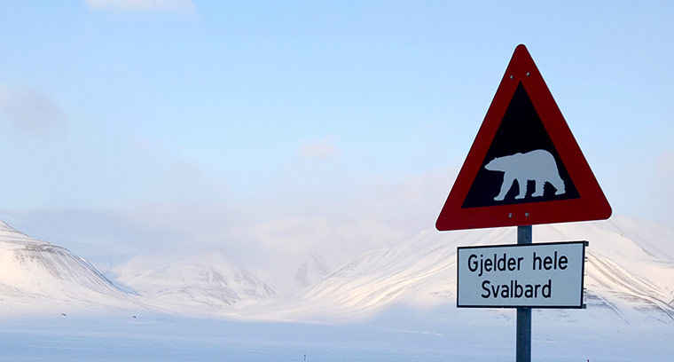 Week in wildlife: Traffic sign warning of the dangers of Polar bears crossing
