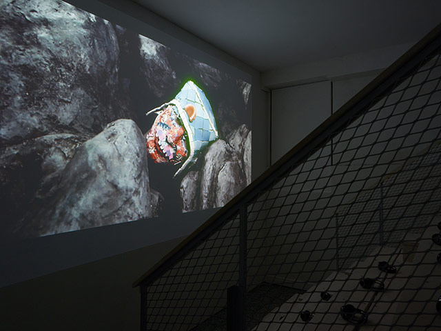 Venice Biennale: The Starry Messenger, Bedwyr Williams, 2013