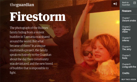 A screenshot of the front 'page' of the Firestorm package