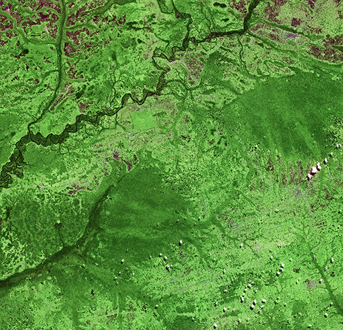 Satellite Eye on Earth: north-west of the Democratic Republic of Congo