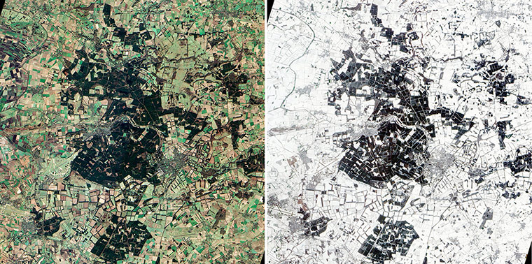 Satellite Eye on Earth: Thetford Forest, UK