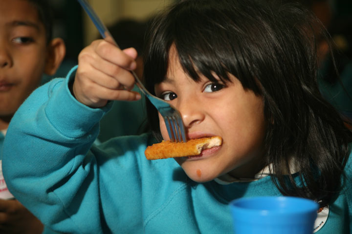 Sustainable fish in school