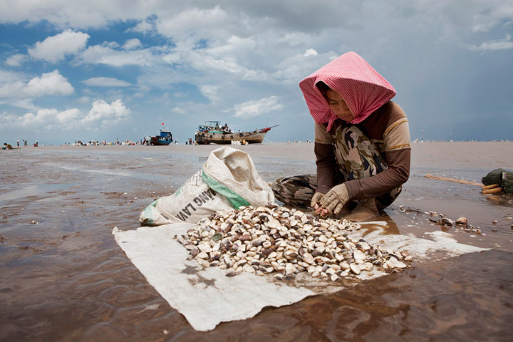 Sustainable fishing 12