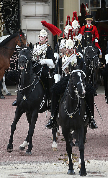 State Opening Parliament: A member of the  Queen Elizabeth II's mounted escort has trouble