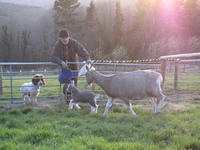 Delayed Spring: Delayed Spring