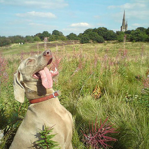 Readers pictures-Delight: Readers Pictures on the theme of delight