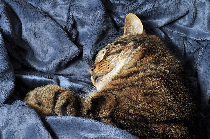 Readers pictures-Delight: Readers Pictures on the theme of delight