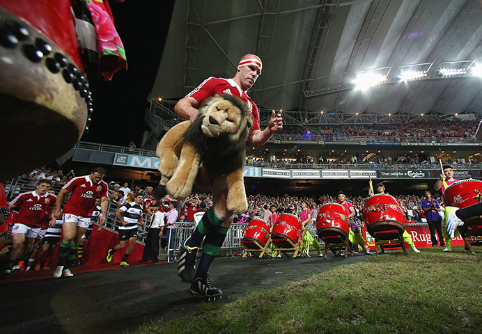 lions: Paul O'Connell leads the team out