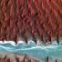 Satellite Eye on Earth: The sand seas of the Namib Desert